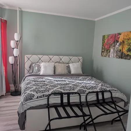 Sunny & Spacious Montclair Nj Apartment